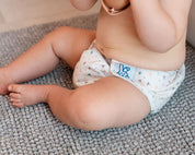 Easy Reusable Diaper